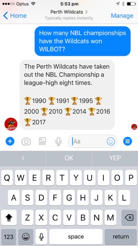Perth Wildcats Chat bot